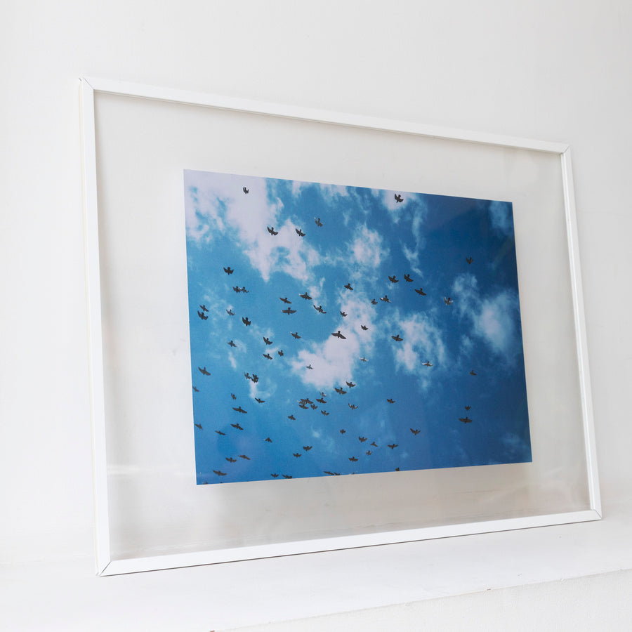 Sky and birds / A2 wh frame