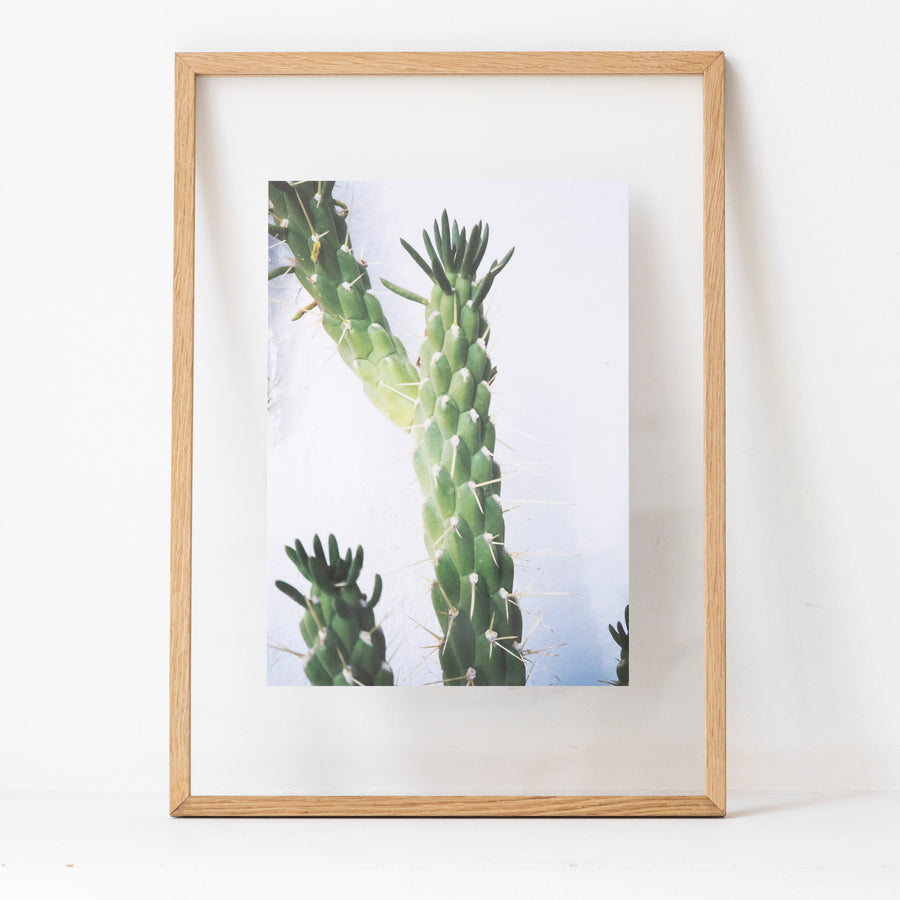 Mykonos cactus / A3 oak frame